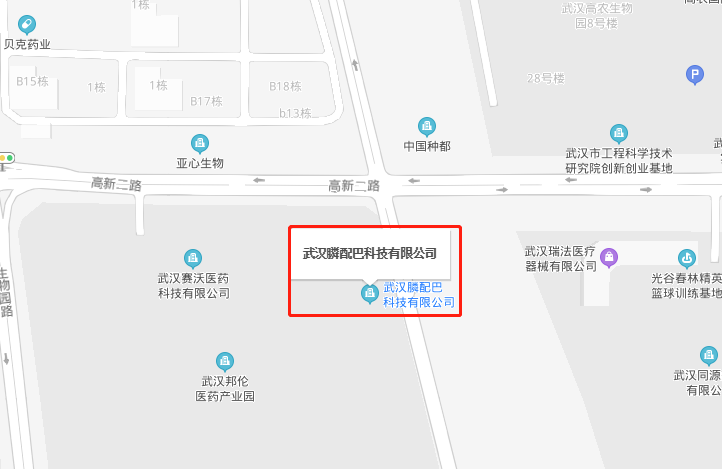 征服邻居漂亮人妻3